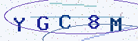 Security code picture