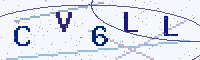 Security code picture