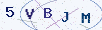 Security code picture