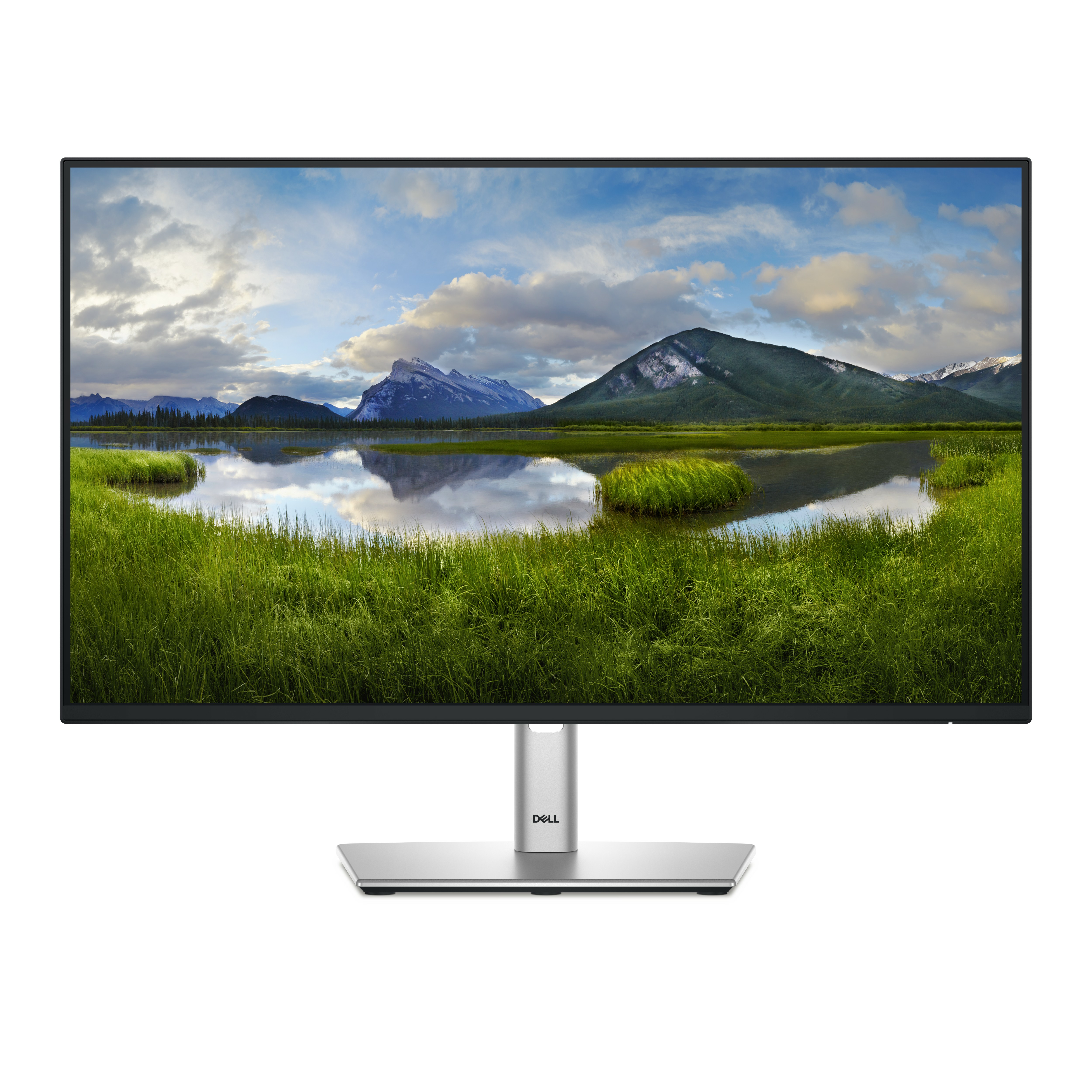 Dell Dell 24 Monitor P2425H